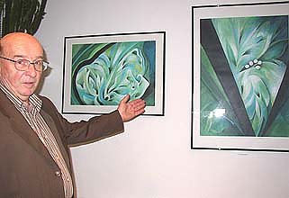 Bunte Bilder (Foto: nnz)