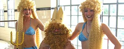 nnz-Foto des Tages (Foto: nnz)