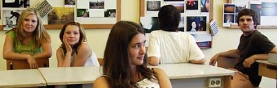 Ein Zebra in Ost (Foto: nnz)