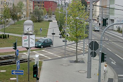 nnz-Foto des Tages: Schilderwald  (Foto: nnz)