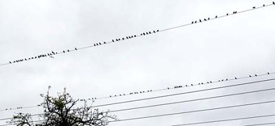 Das nnz-Leserfoto: Abschied (Foto: nnz)