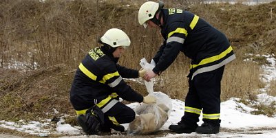 Mysteri&ouml;ser Sack gefunden (Foto: nnz)