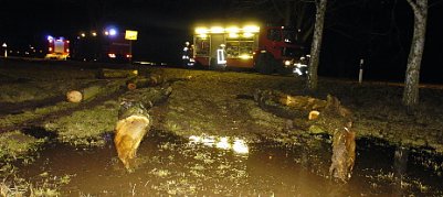 Rei&szlig;ender Strom (Foto: nnz)