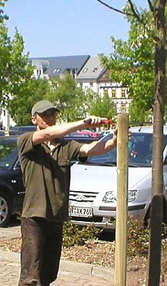 Aus 3 mach 4 (Foto: nnz)