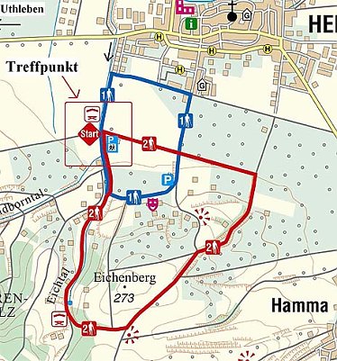 Nordisches Wandern in der Aue (Foto: nnz)