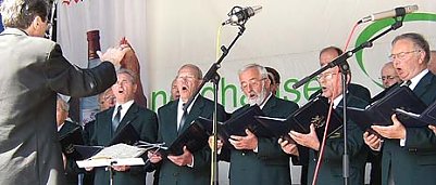 Goldene Kehlen auf dem Berg (Foto: nnz)
