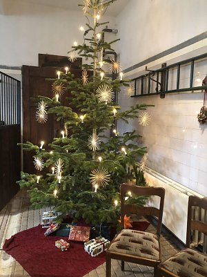 Advent im Park Hohenrode (Foto: F&ouml;rderverein Park Hohenrode)