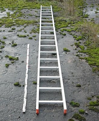 Leiter (Foto: Polizei)