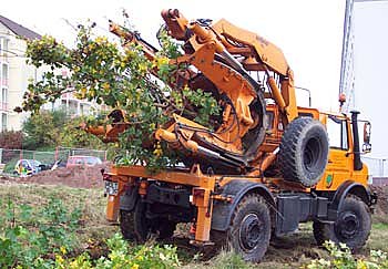 B&auml;ume pflanzen (Foto: --)