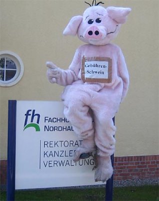 Scheinischer Besuch (Foto: nnz)