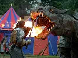 Parade der Geschichte (Foto: Agentur)