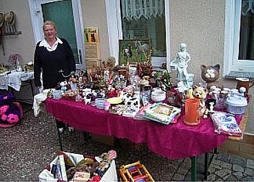 Katzen "im Angebot" (Foto: NH)