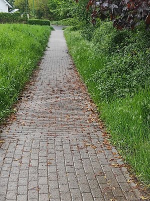 Hier noch ein weiteres Beispiel. (Foto: Leser/privat)