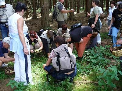 Gesammelt (Foto: HU)