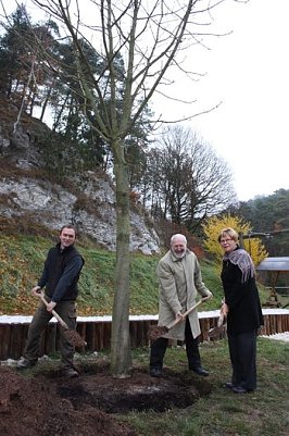 Baum gepflanzt (Foto: psv)