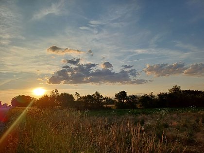 Landschaft (Foto: Familie Bartnitzke)