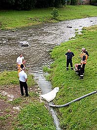Bild: Umweltskandal an der Zorge?