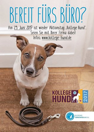 Bild: Der Deutsche Tierschutzbund ruft f&uuml;r den 29. Juni zur Teilnahme am Aktionstag Kollege Hund auf.   