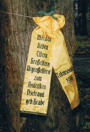Bild: Schleife an einem Baum des Alten Friedhofs