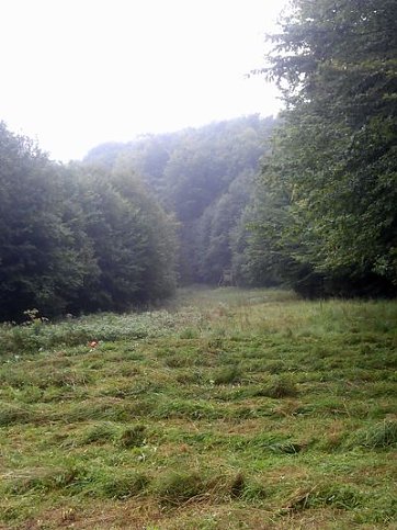 Bild: Geschafft