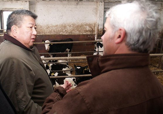 Das WIE erl&auml;utert (Foto: nnz)