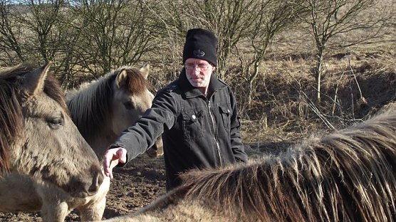 Seltene Pferde (Foto: K. Frank) Seltene Pferde (Foto: K. Frank)