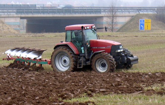 Im Märzen (Foto: privat) Im Märzen (Foto: privat)