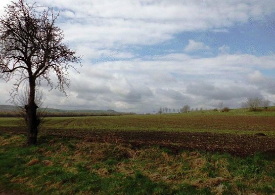 Vom Investor befreit (Foto: privat) Vom Investor befreit (Foto: privat)