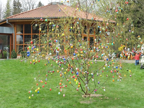 Osterbaum geschm&uuml;ckt (Foto: P. Heydecke)