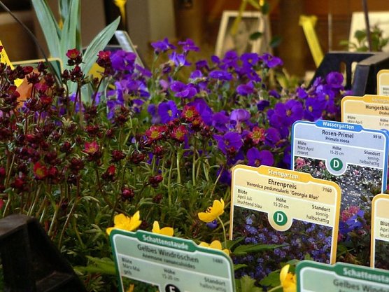 gartentalk (Foto: stadt ndh)