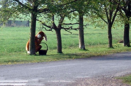 Versteckt (Foto: privat)