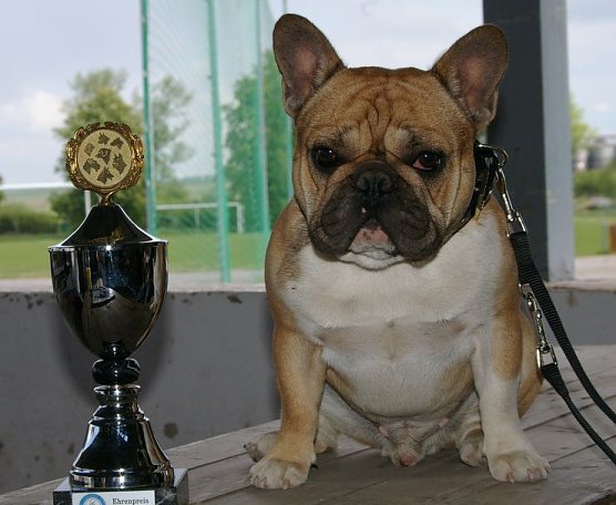 Eddy (Foto: privat) Eddy (Foto: privat)