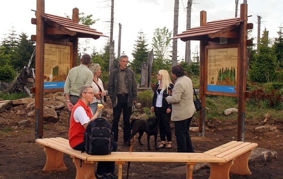 Wald im Wandel (Foto: Knolle)