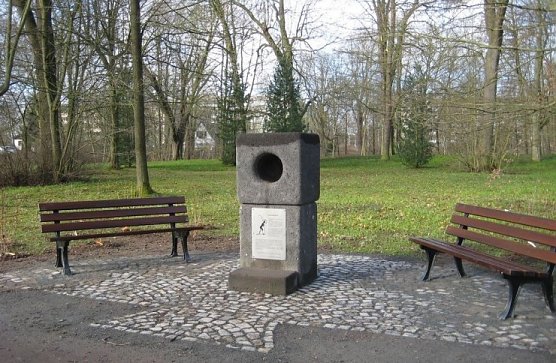 Hier wird gesummt (Foto: psv) Hier wird gesummt (Foto: psv)