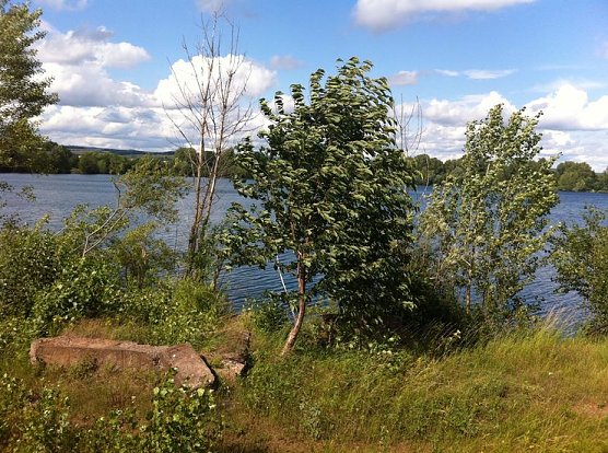 Blick auf den M&ouml;wensee (Foto: nnz)