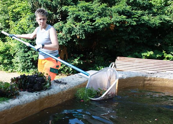 Schwimmende Blumen (Foto: PSV)