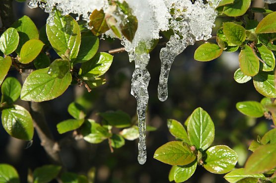 Winter ade! (Foto: Stanislowsky)