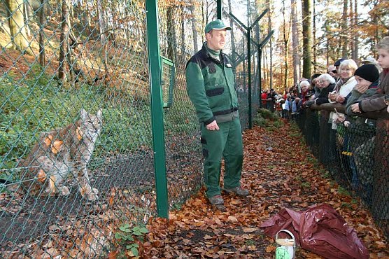 Raubtier-Fütterung (Foto: Nationalpark) Raubtier-Fütterung (Foto: Nationalpark)