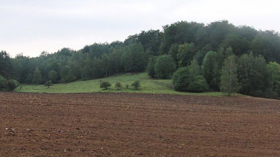 Fotodokumentation (Foto: B. Schwarzberg)