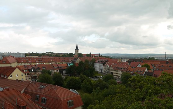 Dombesichtigung (Foto: Tobias Wendehost)