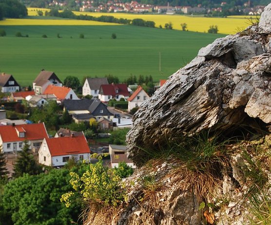 Blick auf Niedersachswerfen (Foto: BUND) Blick auf Niedersachswerfen (Foto: BUND)