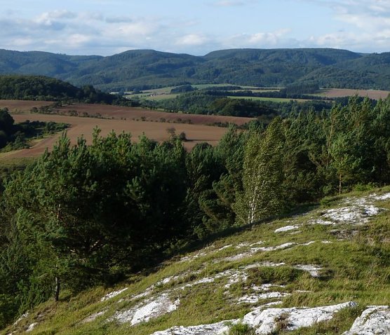 Naturpark Südharz (Foto: privat) Naturpark Südharz (Foto: privat)