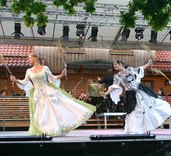 Konzert wird wiederholt (Foto: Ingrid N&ouml;renberg)