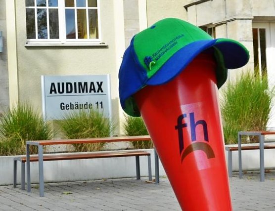 Zuckertüten (Foto: FHN) Zuckertüten (Foto: FHN)