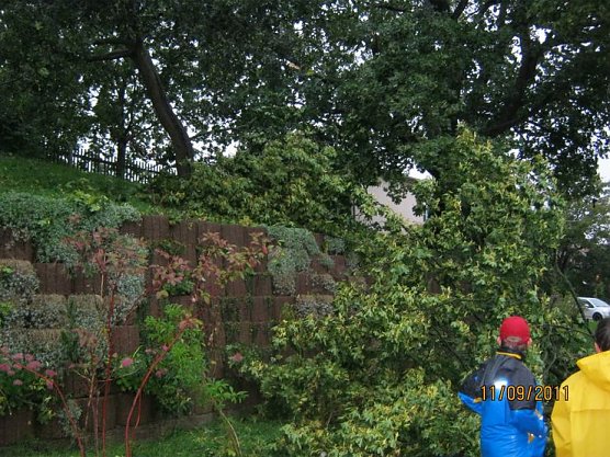 Glück gehabt (Foto: Nicole Kleemann) Glück gehabt (Foto: Nicole Kleemann)