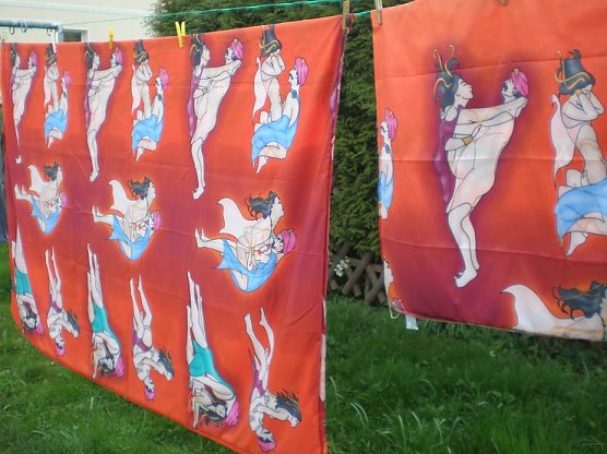 Bettw&auml;sche (Foto: Buntfuss)