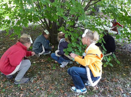 Nüsse sammeln (Foto: NABU) Nüsse sammeln (Foto: NABU)