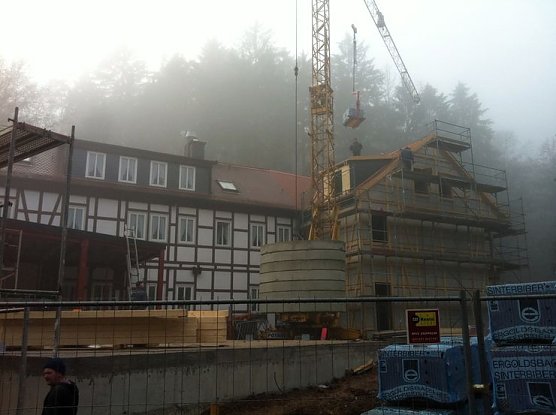 Umbau im Wald (Foto: Knauf)