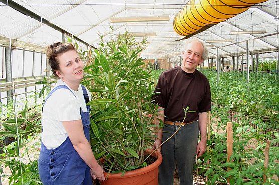 Ausgelagert (Foto: Hellberg)