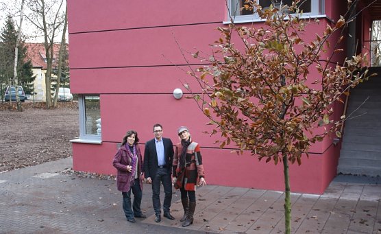 Baum f&uuml;r's G&auml;stehaus (Foto: privat)